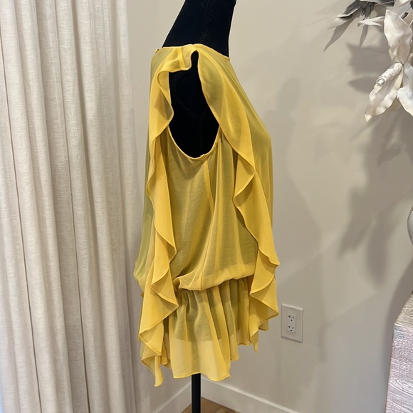 BCBG Maxazria  see-through top from France - Picture 2 of 4